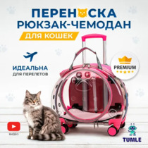 Чемодан для кота