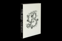 Книга Красота