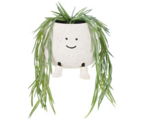 Лохматый горшок